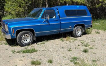 Chevy-scottsdale-1978-blue