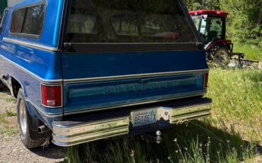 Chevy-scottsdale-1978-blue-4