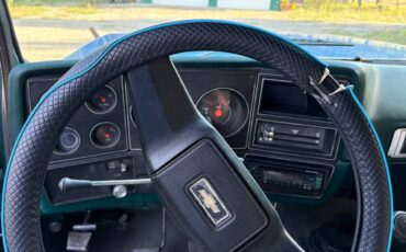 Chevy-scottsdale-1978-blue-8