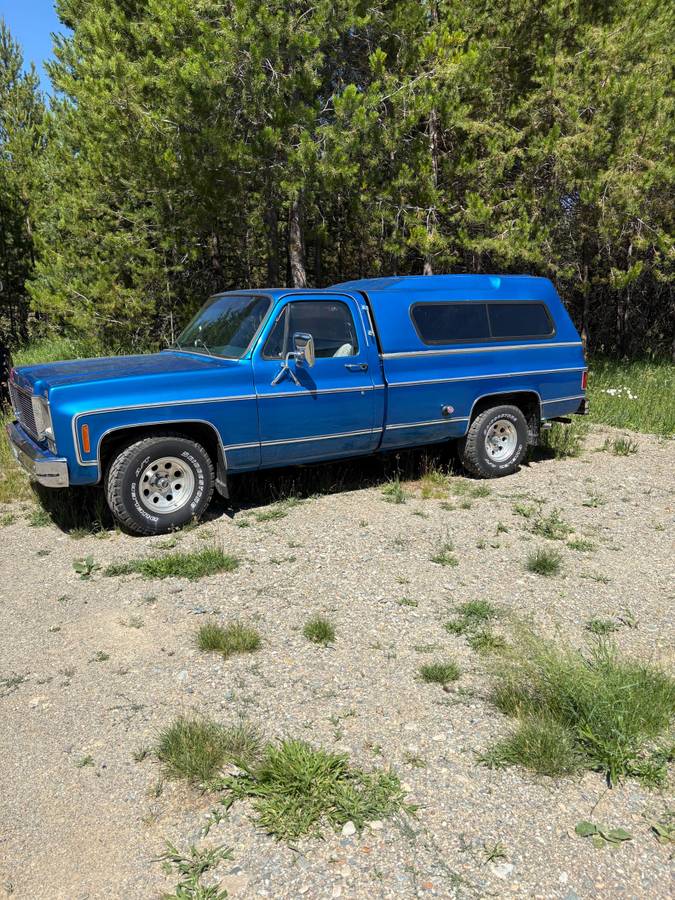 Chevy-scottsdale-1978-blue