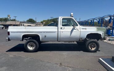 Chevy-scottsdale-1978-white-2