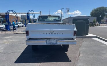 Chevy-scottsdale-1978-white-3