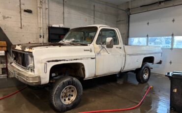 Chevy-scottsdale-1978-white-4