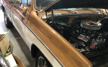 Chevy-scottsdale-1979-brown-1