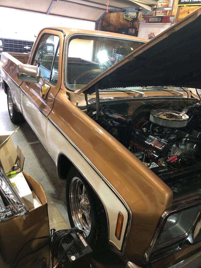 Chevy-scottsdale-1979-brown-1