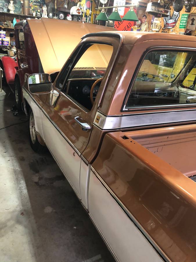 Chevy-scottsdale-1979-brown-2
