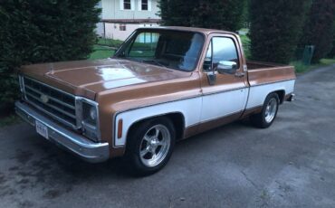 Chevy-scottsdale-1979-brown
