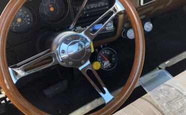 Chevy-scottsdale-1979-brown-8