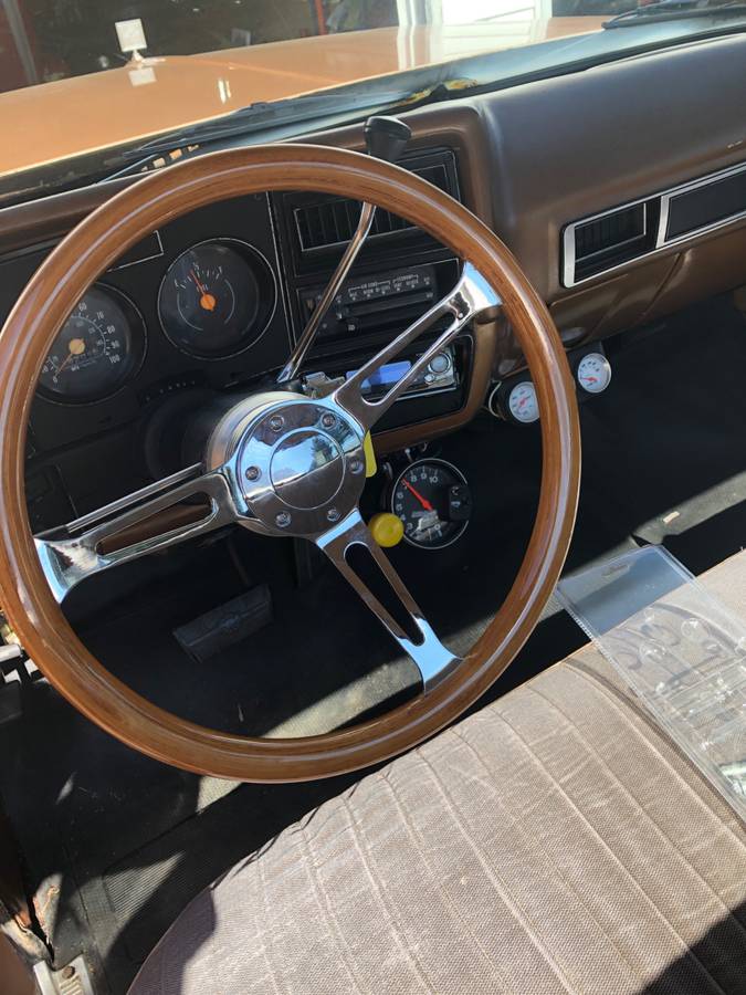 Chevy-scottsdale-1979-brown-8