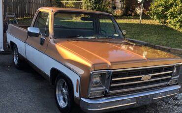 Chevy-scottsdale-1979-brown-9