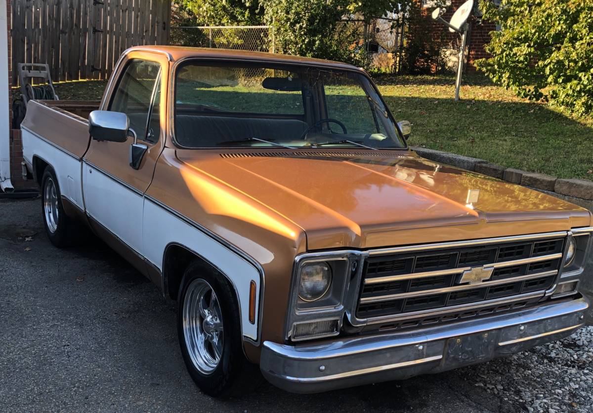 Chevy-scottsdale-1979-brown-9
