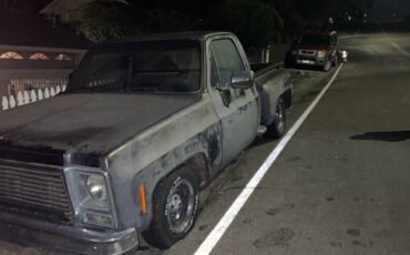 Chevy-scottsdale-1980-black-1