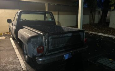Chevy-scottsdale-1980-black-2