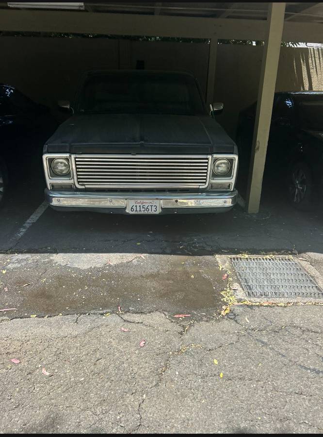 Chevy-scottsdale-1980-black