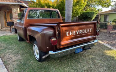 Chevy-scottsdale-1980-brown-1