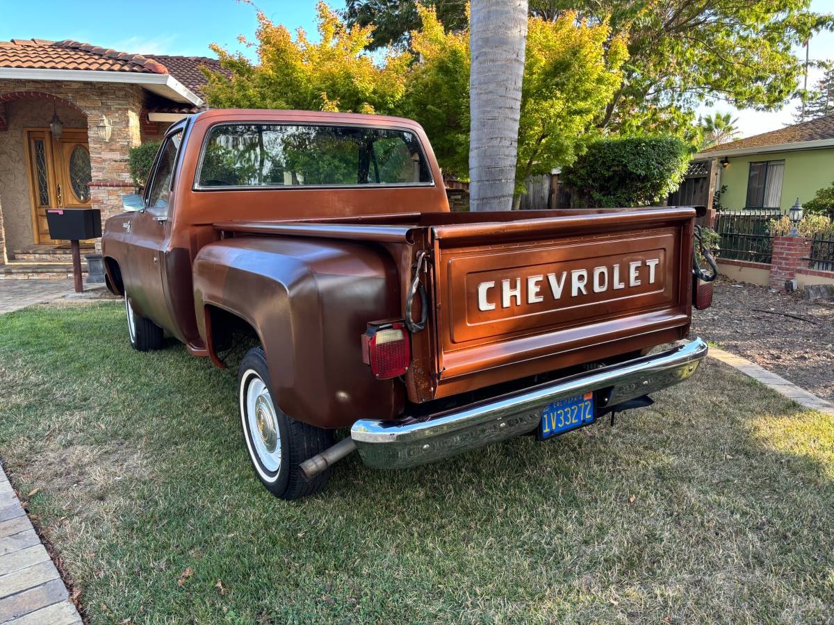 Chevy-scottsdale-1980-brown-1