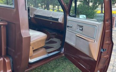 Chevy-scottsdale-1980-brown-10