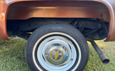 Chevy-scottsdale-1980-brown-12