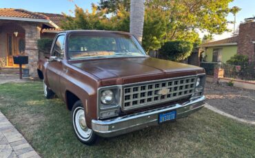 Chevy-scottsdale-1980-brown-18