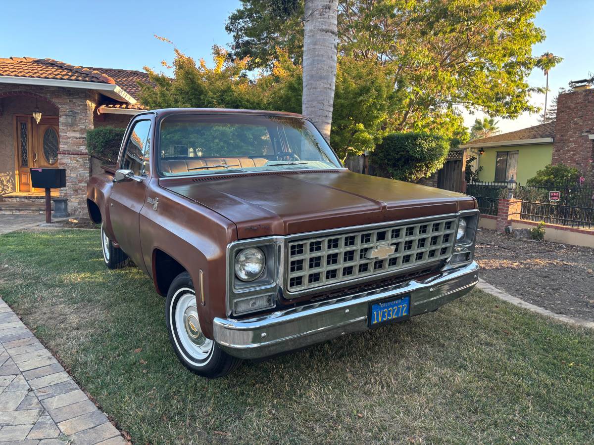Chevy-scottsdale-1980-brown-18