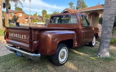 Chevy-scottsdale-1980-brown-2
