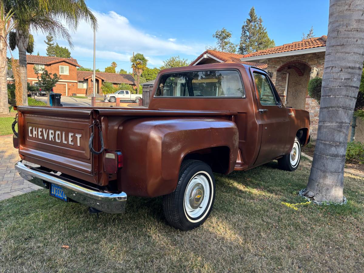 Chevy-scottsdale-1980-brown-2