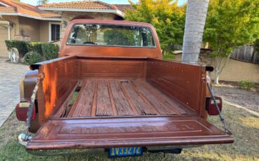 Chevy-scottsdale-1980-brown-3