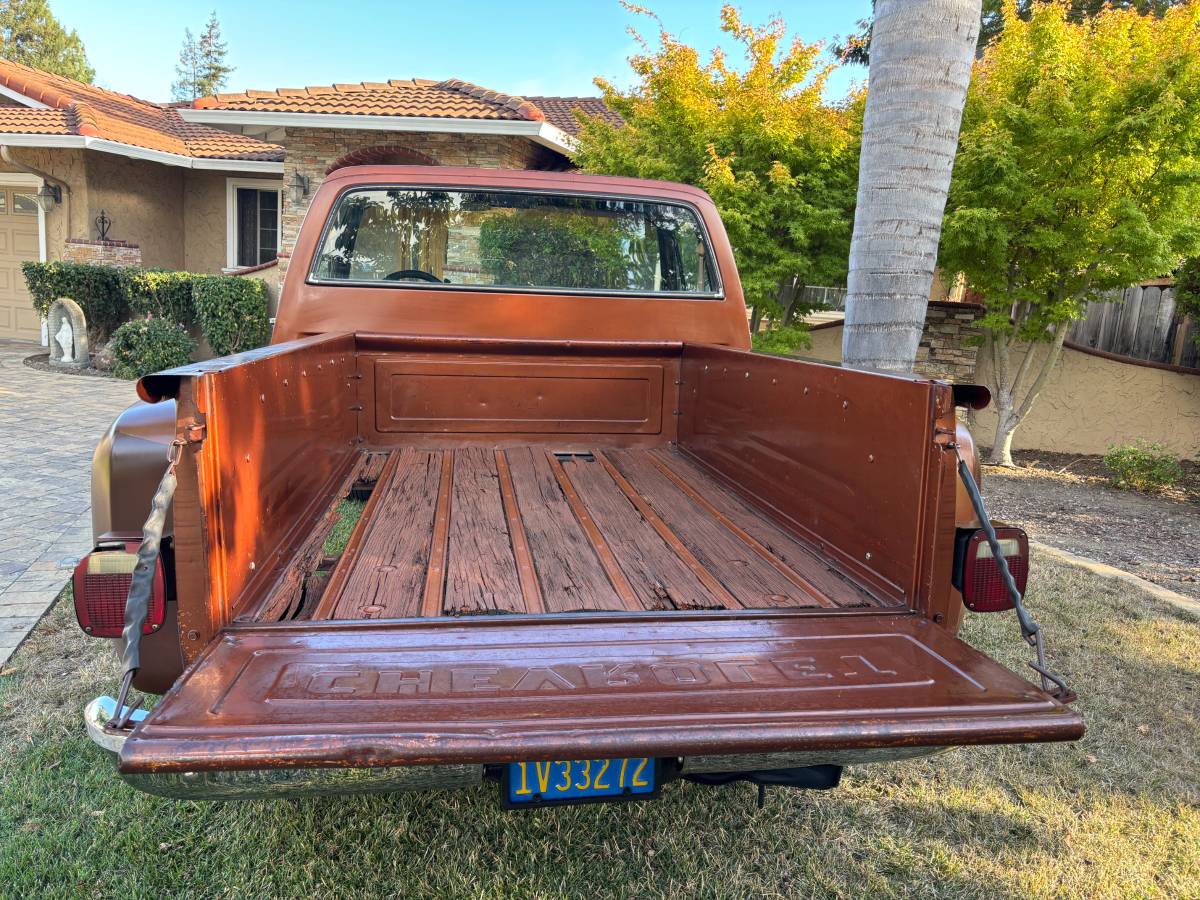 Chevy-scottsdale-1980-brown-3