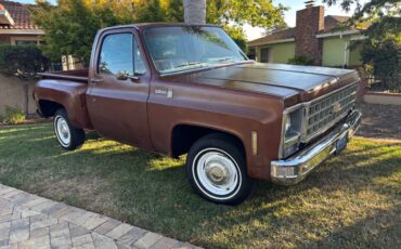 Chevy-scottsdale-1980-brown