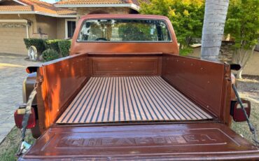 Chevy-scottsdale-1980-brown-4