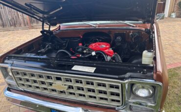 Chevy-scottsdale-1980-brown-5