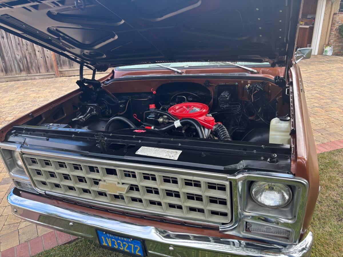 Chevy-scottsdale-1980-brown-5