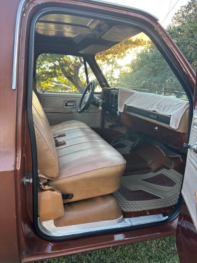 Chevy-scottsdale-1980-brown-9