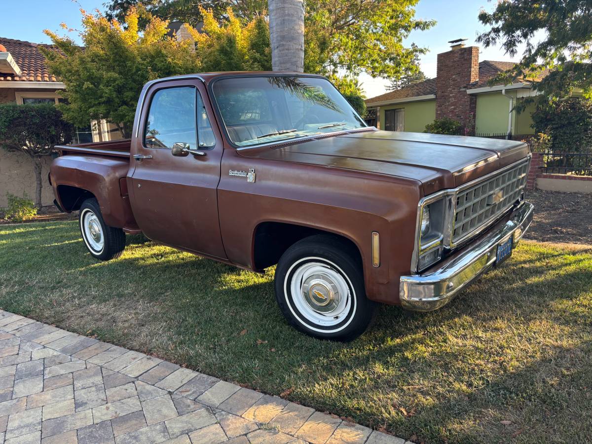 Chevy-scottsdale-1980-brown