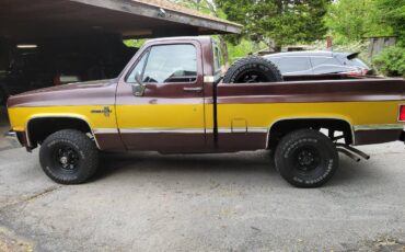 Chevy-scottsdale-1984-custom-12