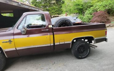 Chevy-scottsdale-1984-custom