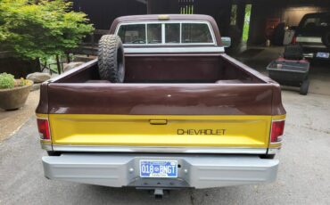 Chevy-scottsdale-1984-custom-7
