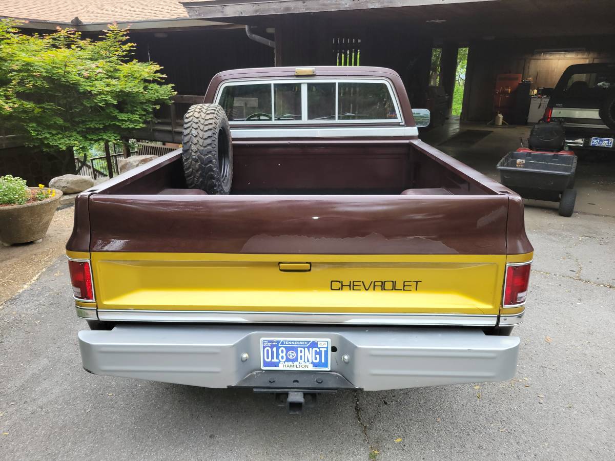 Chevy-scottsdale-1984-custom-7