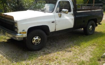 Chevy-scottsdale-1985-5
