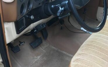 Chevy-scottsdale-1988-brown-2