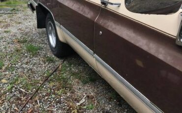 Chevy-scottsdale-1988-brown-3