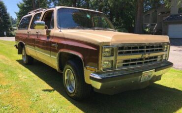 Chevy-scottsdale-1988-brown