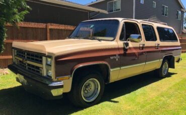 Chevy-scottsdale-1988-brown-7