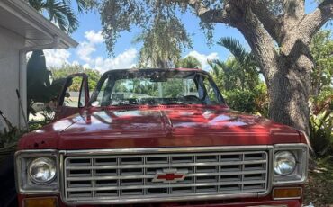 Chevy-scottsdale-pickup-1976-red-10