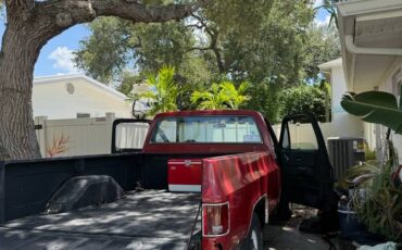 Chevy-scottsdale-pickup-1976-red-14