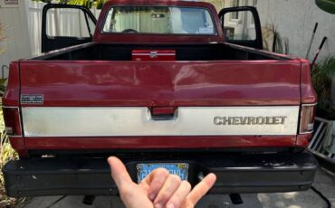 Chevy-scottsdale-pickup-1976-red-16