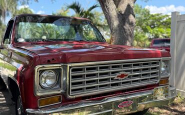 Chevy-scottsdale-pickup-1976-red
