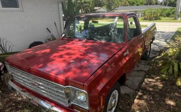 Chevy-scottsdale-pickup-1976-red-9