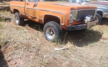 Chevy-silverado-1500-1975-orange-3