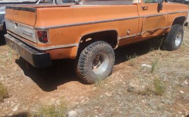 Chevy-silverado-1500-1975-orange-5